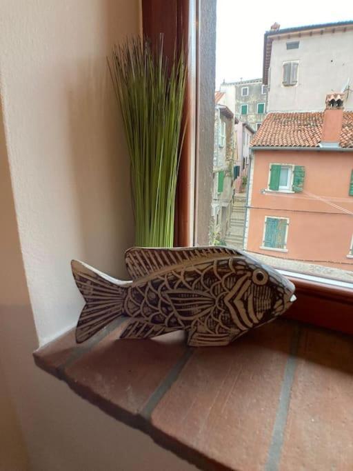 Piccolo Nido Apartment Rovinj Ngoại thất bức ảnh